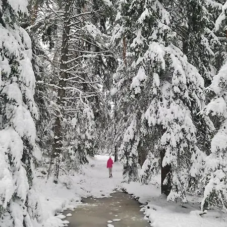 Holiday home Planinska Kuca 